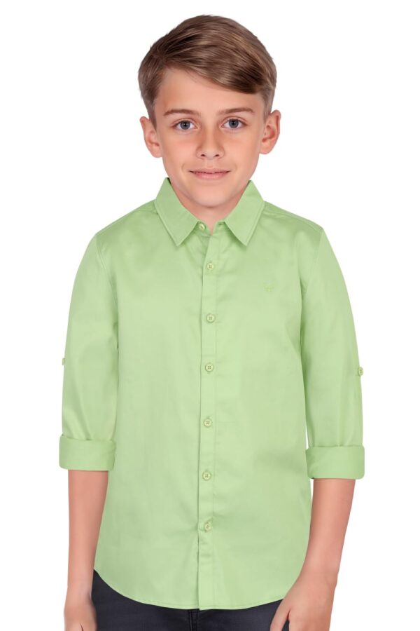 Allen Solly Boy's Solid Regular Fit Shirt (ABSFCSPFR14377_Light Olive 7 8 Years)