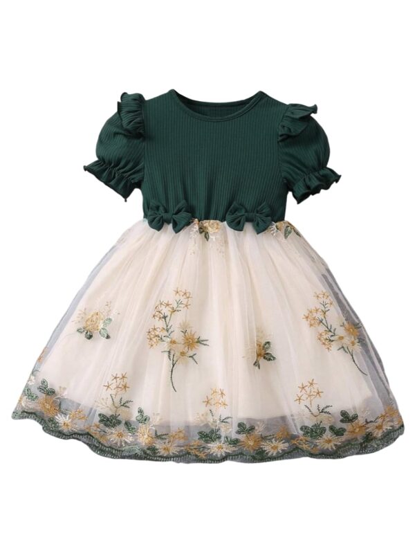 TAGAS Girl's Mesh A-Line Knee-Length Dress (KD-82-GREEN-9_Green