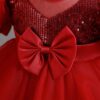 Niren Enterprise Rollar Frock net Embroidery Work Ruffle Patterned Flared Short Sleeve Girl Frock, Pack of 1 (ROLLAR Frock, 2-3Y) Maroon - Image 5