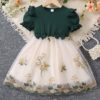 TAGAS Girl's Mesh A-Line Knee-Length Dress (KD-82-GREEN-9_Green - Image 7