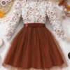 TAGAS Baby Girl's Polyester A-Line Knee-Length Dress (KD-351-BROWN-5_Brown_5 6 Years) - Image 6