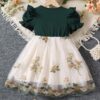 TAGAS Girl's Mesh A-Line Knee-Length Dress (KD-82-GREEN-9_Green - Image 6